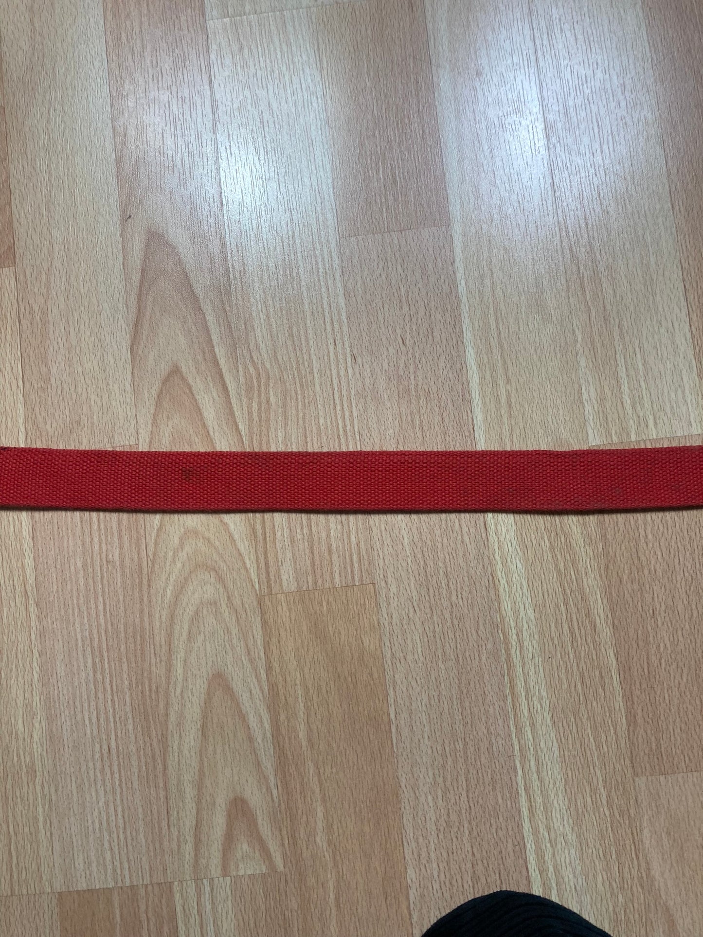 Resina Belt - vintage - ample - brodé - 1990s - 2000s - cybery2k - rare