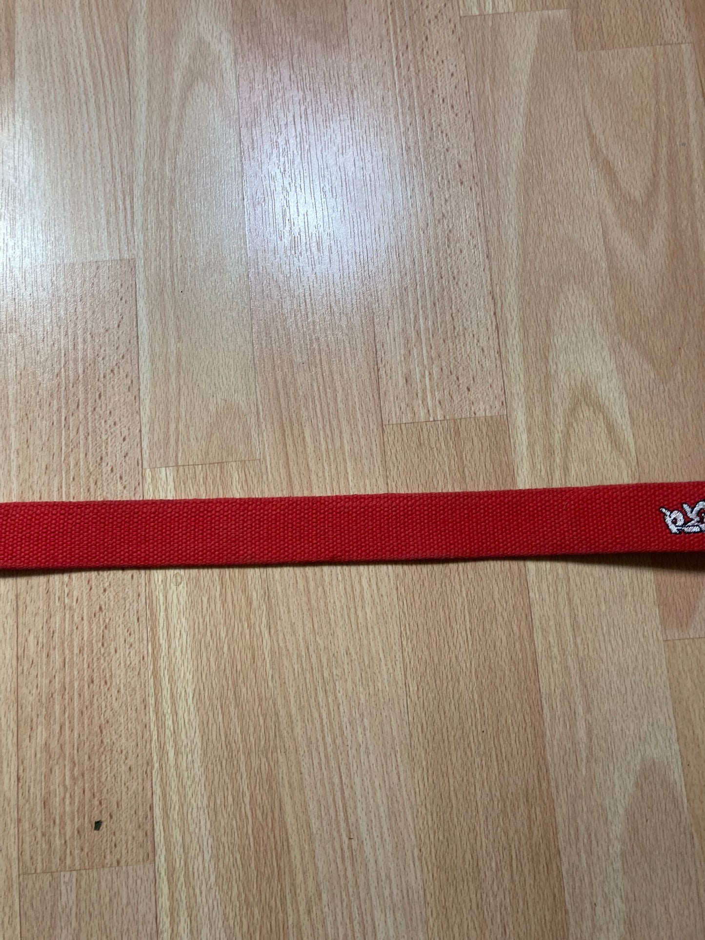 Resina Belt - vintage - ample - brodé - 1990s - 2000s - cybery2k - rare